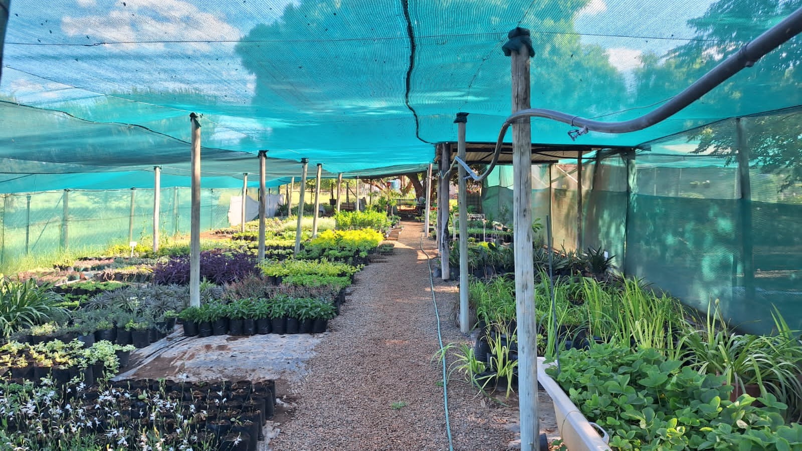 Commercial Property in Bela Bela For Sale RE/MAX™ of Southern Africa