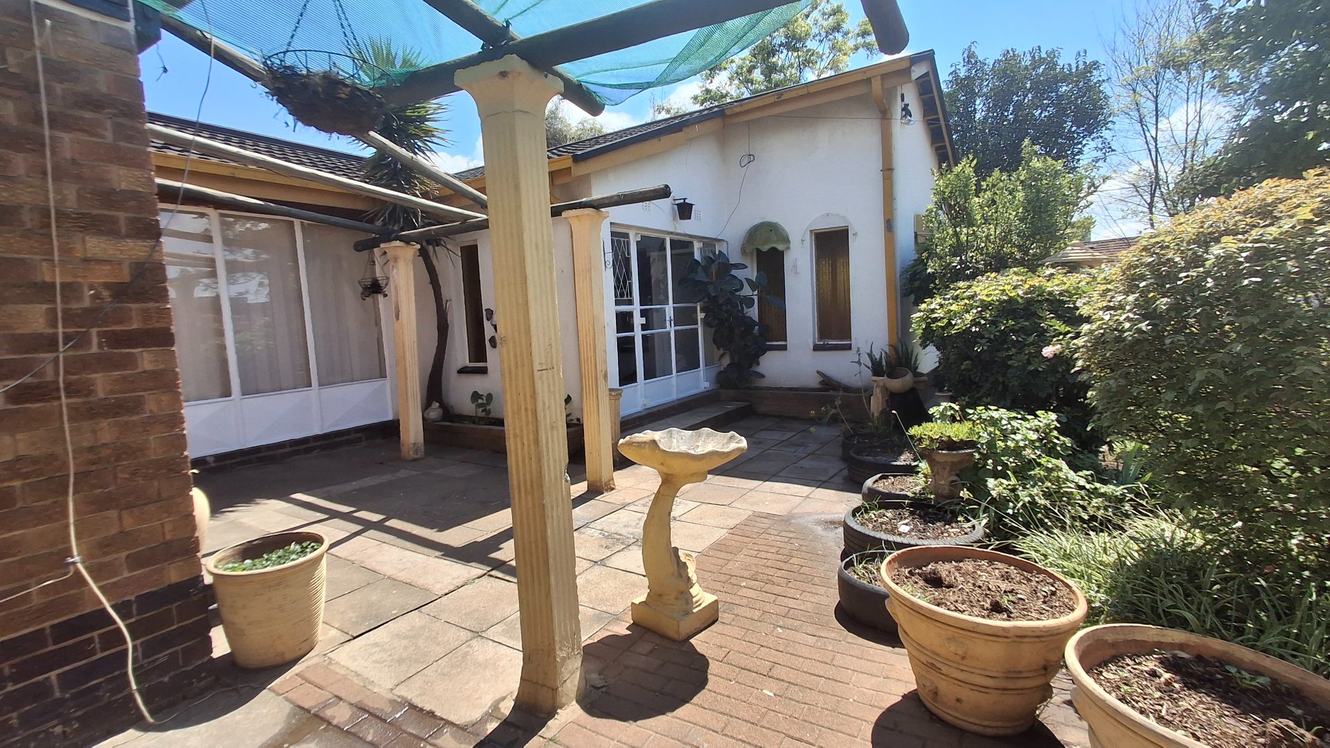 Backyard