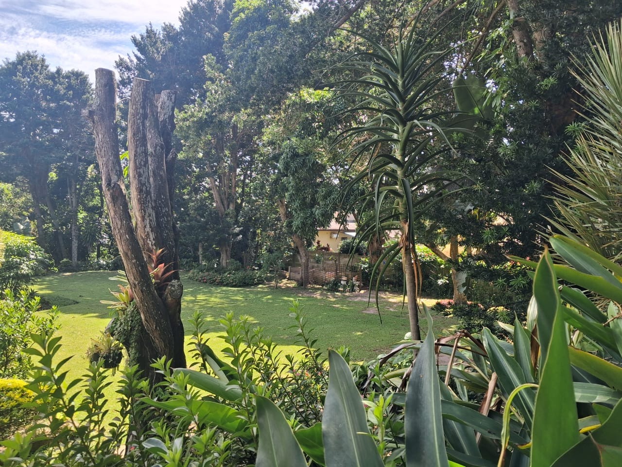 Vacant Land / Plot in Pennington For Sale by RE/MAX