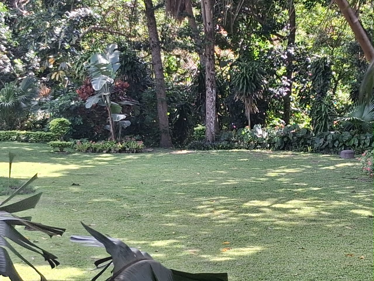 Vacant Land / Plot in Pennington For Sale by RE/MAX