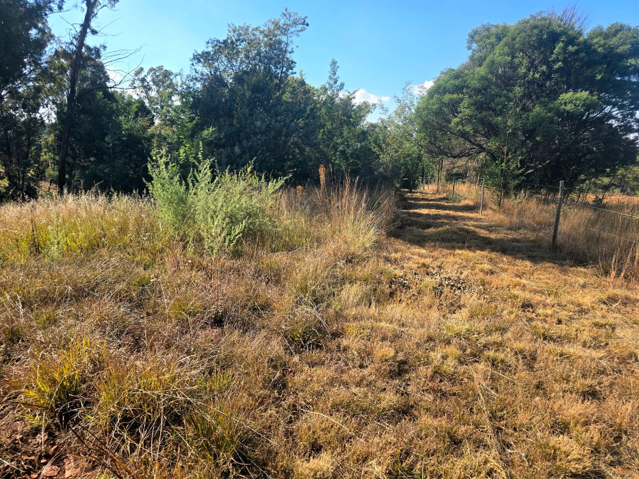 Land, 10000 m²