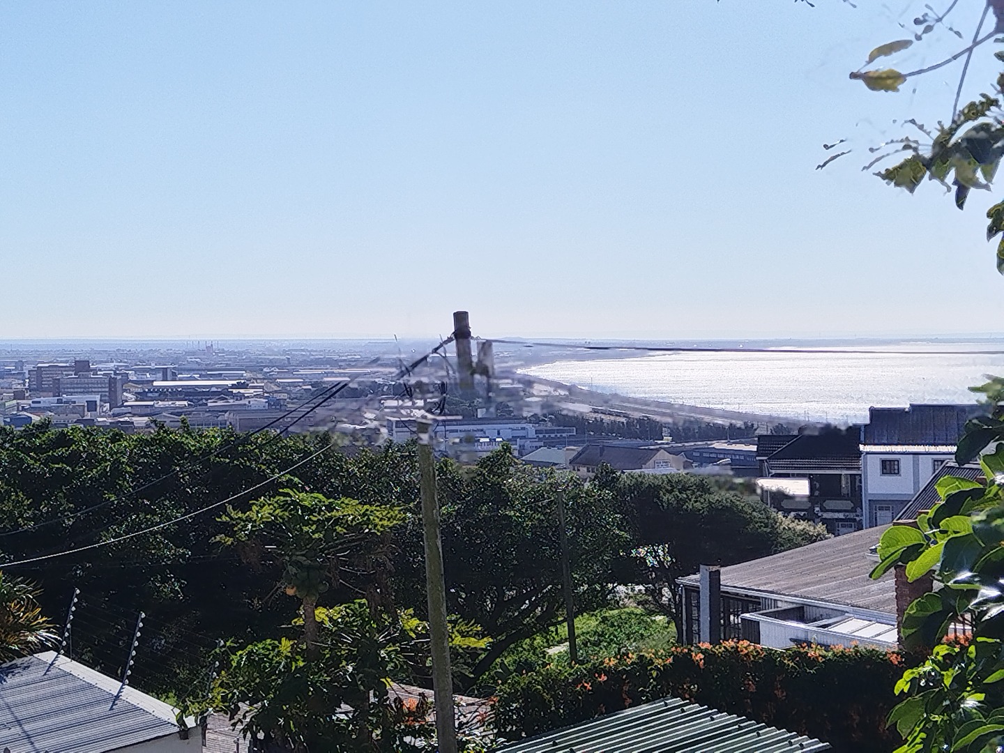Views of The Bay