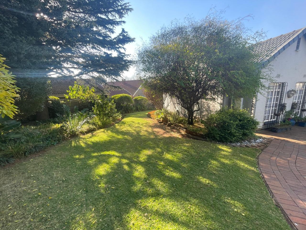 Frontyard