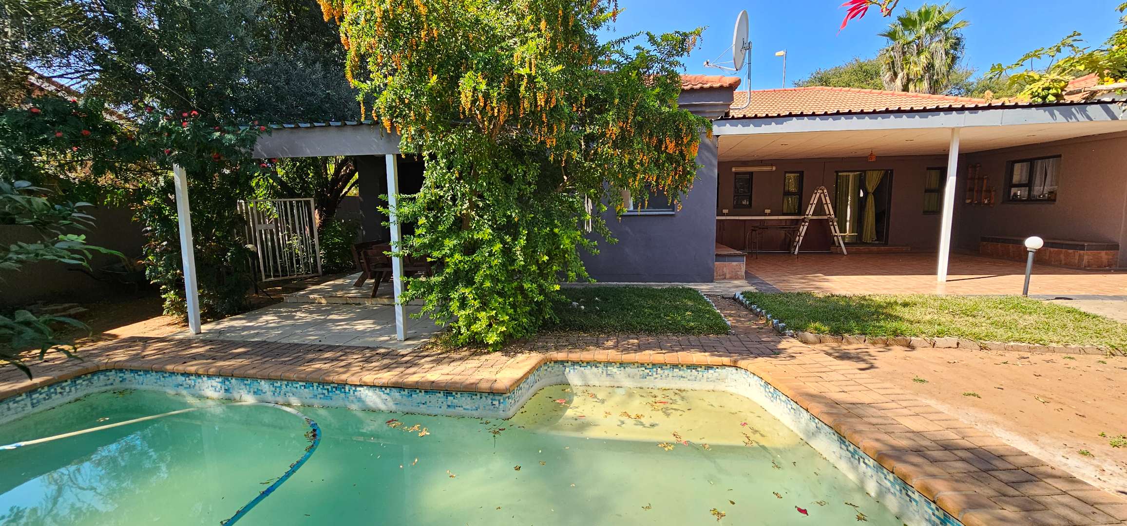 Pool and Patio