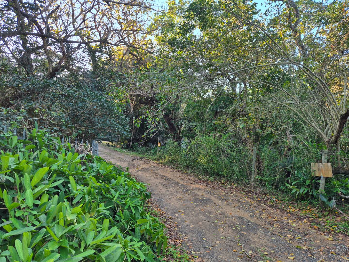 Vacant Land for Sale in Leisure Bay in Leisure Bay
