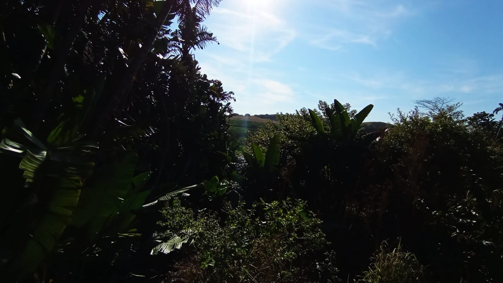 Vacant Land for Sale in Trafalgar in Trafalgar
