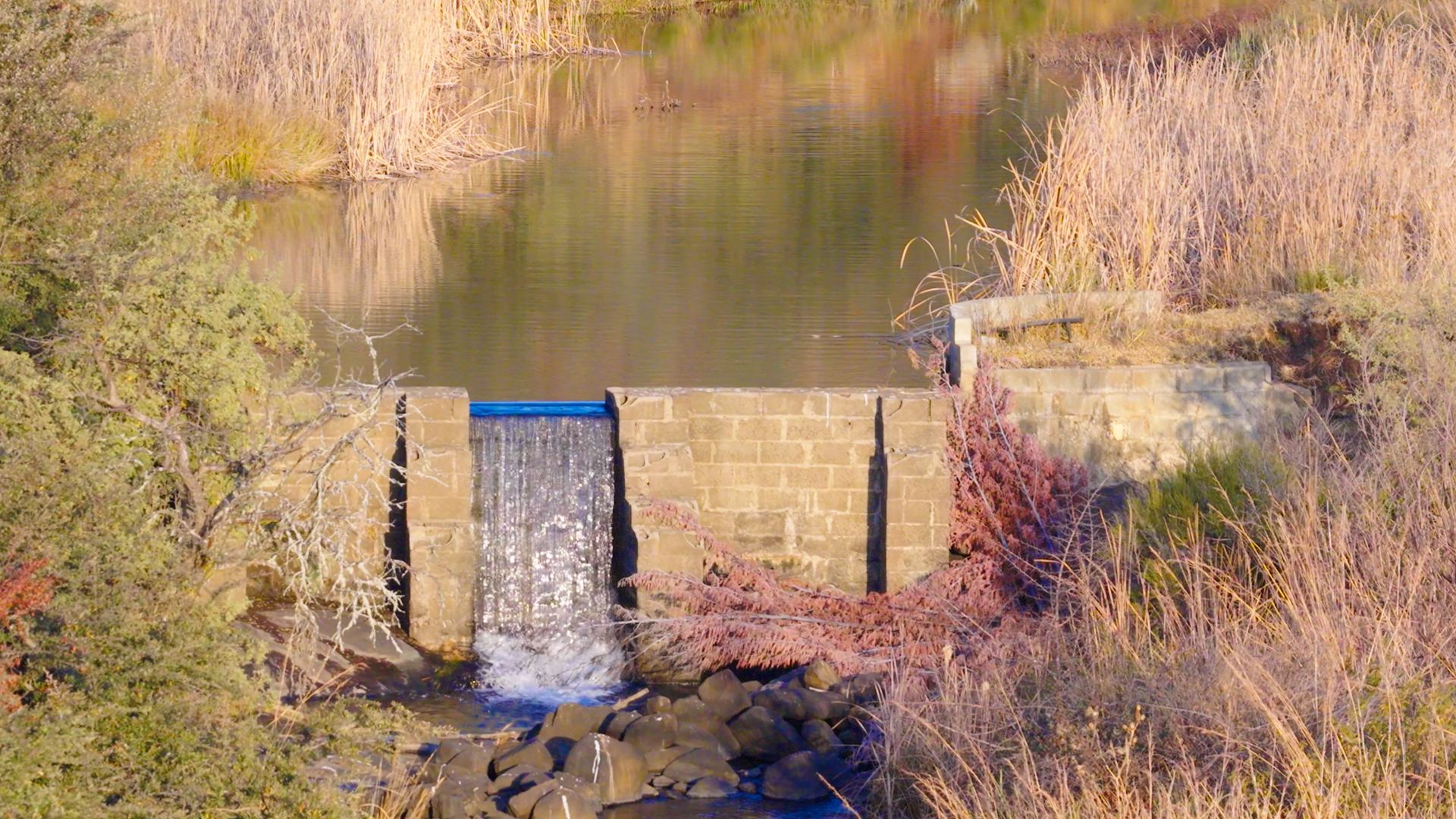 Weir