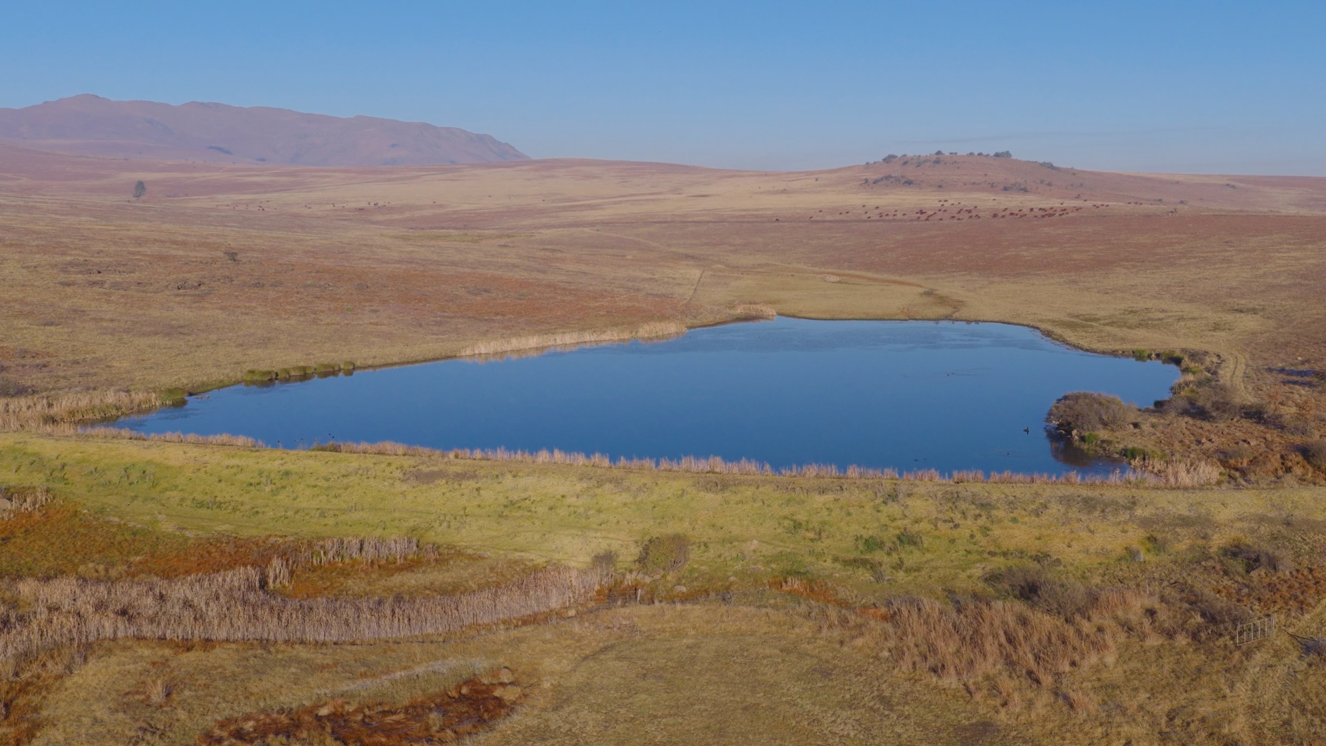 Main Dam