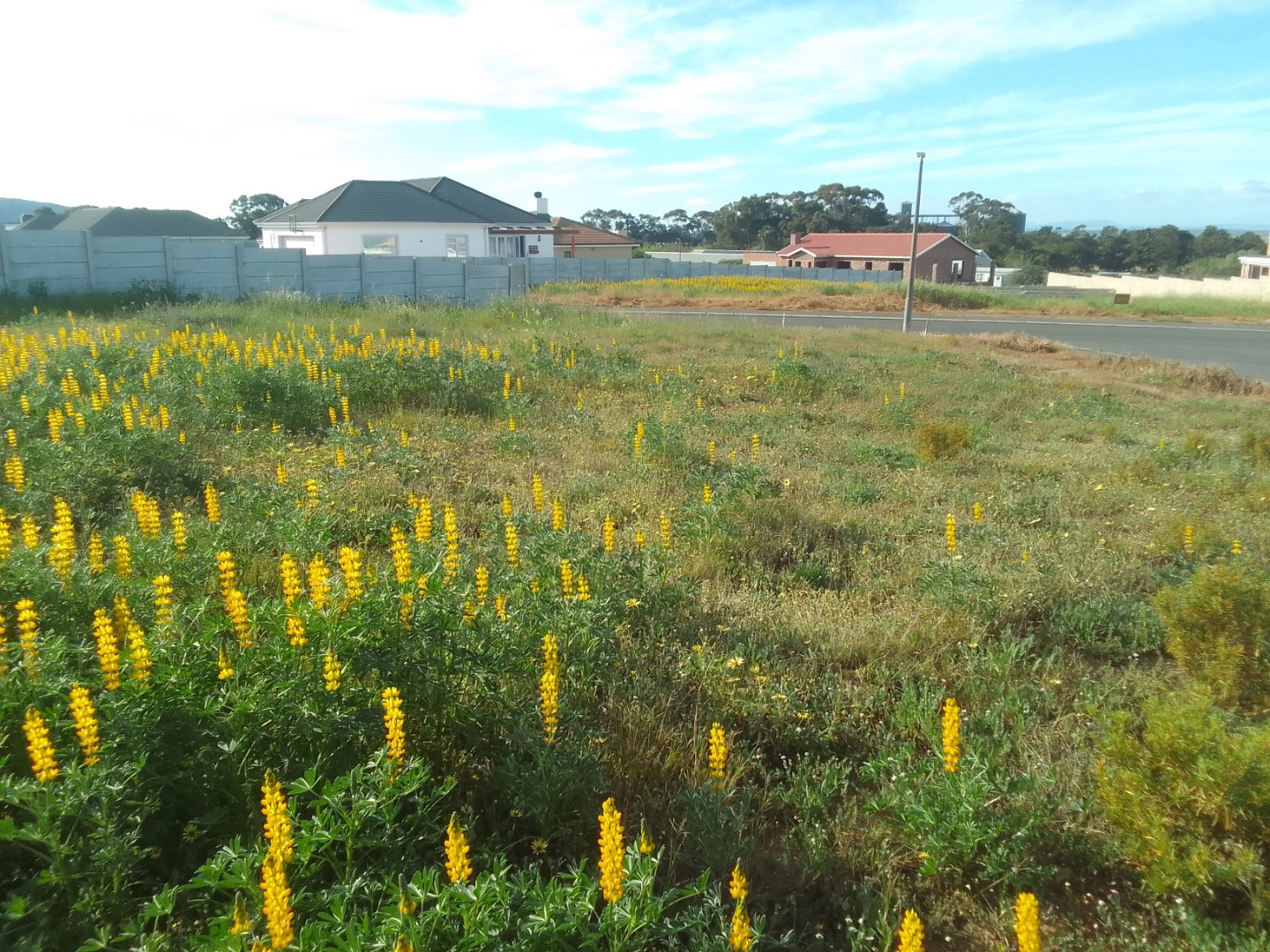 Land, 950 m²