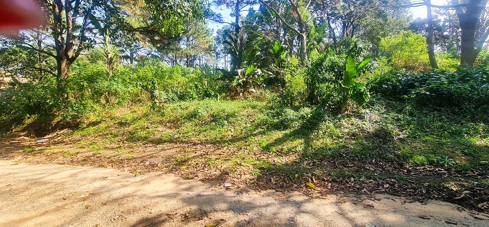 Vacant Land for Sale in Woodgrange in Woodgrange