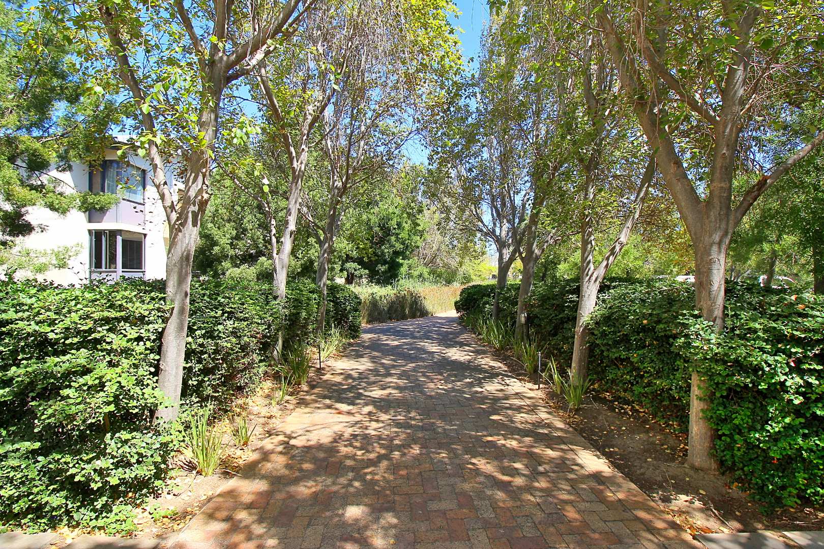 Walkways in the estate