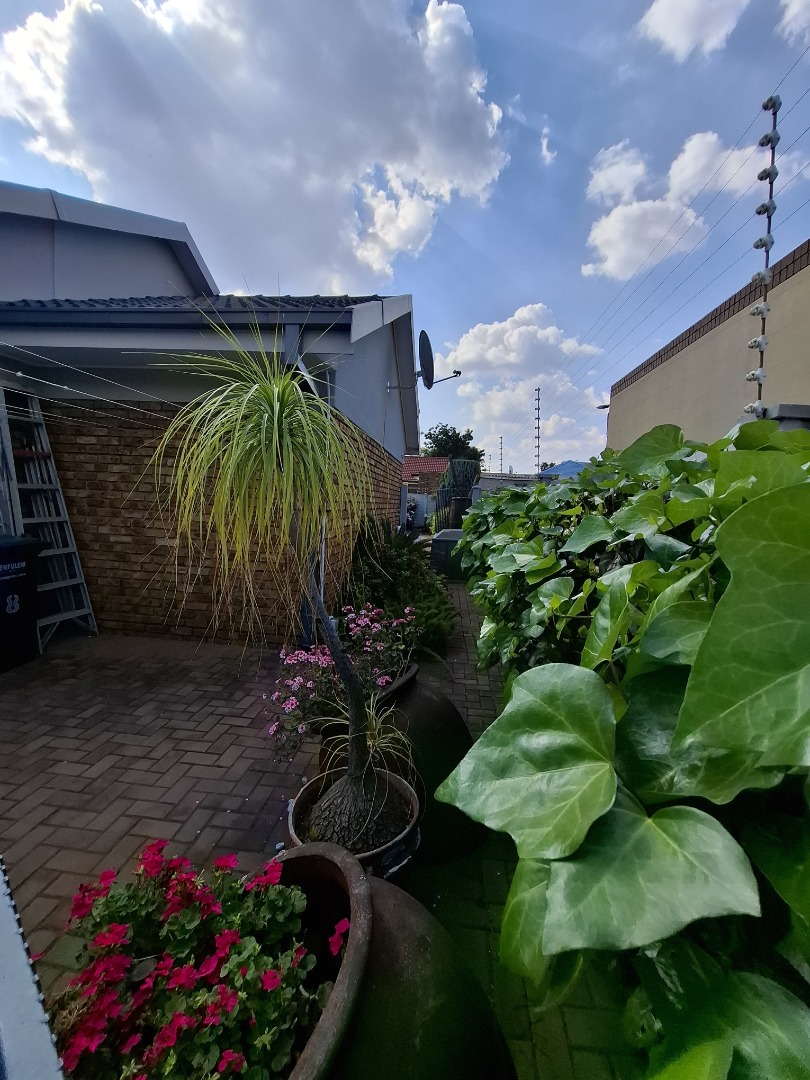 BACK OF HOUSE