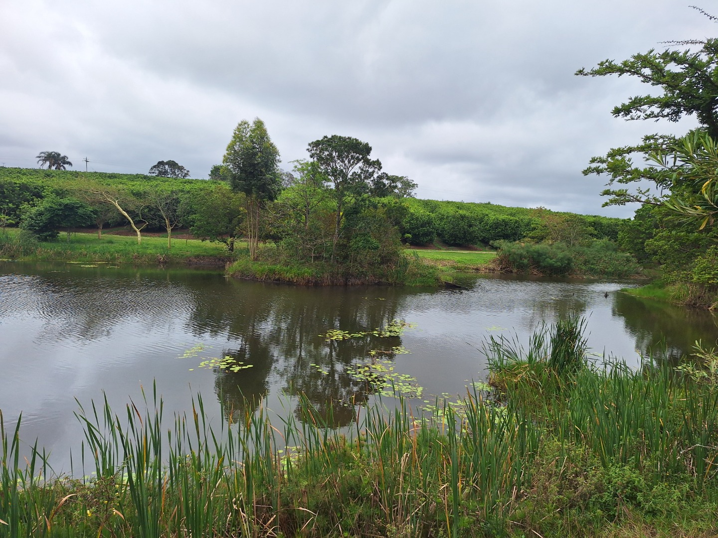 Farm for Sale in Paddock in Paddock