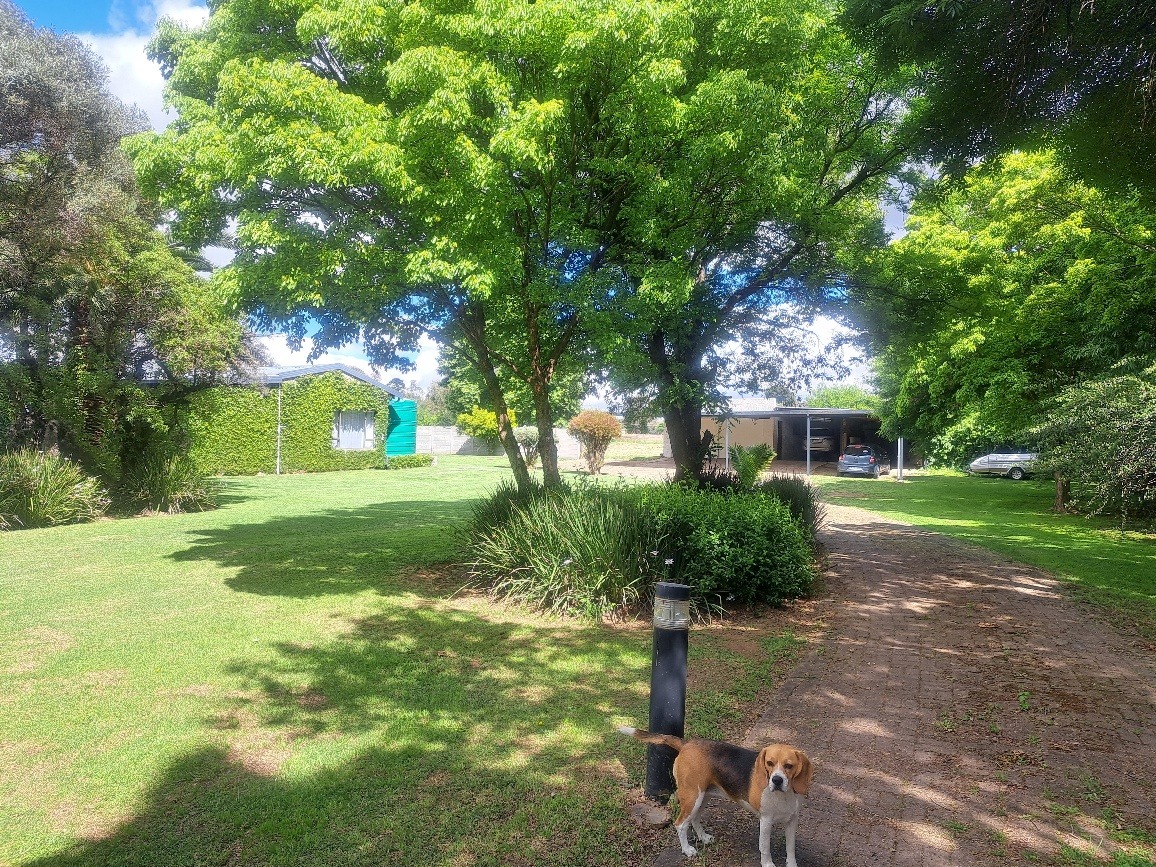 Further up the driveway