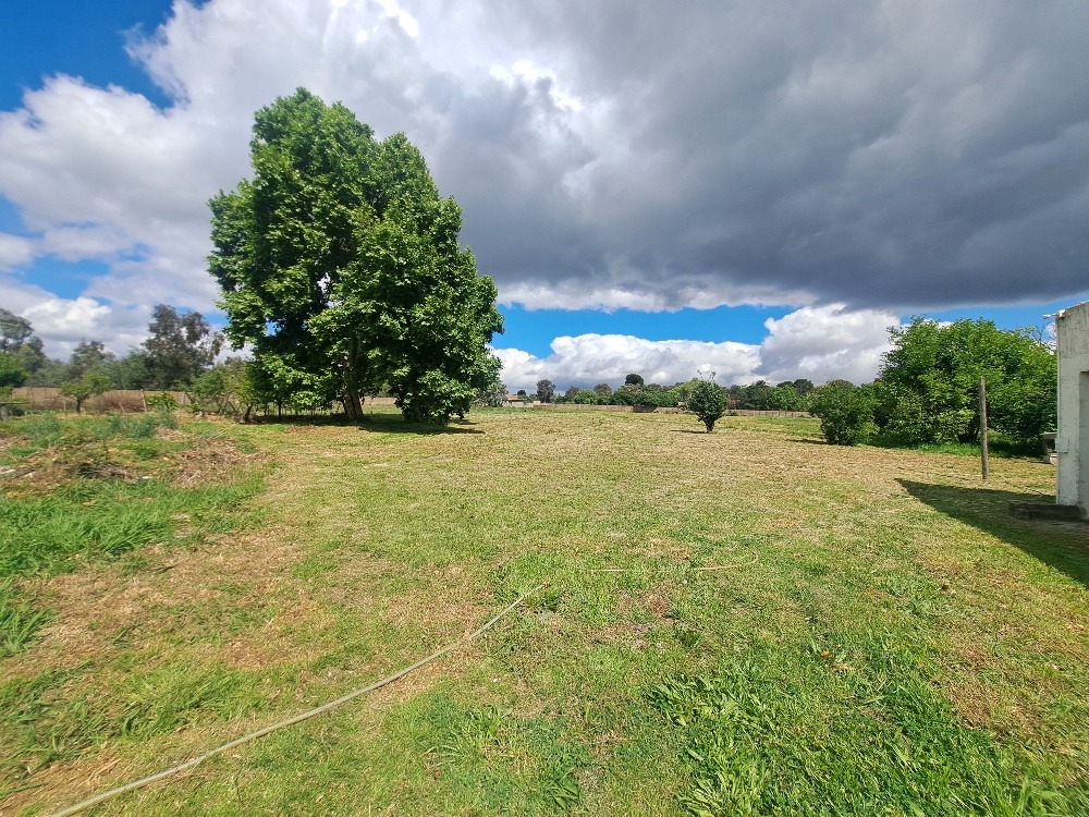 The undeveloped area of the property